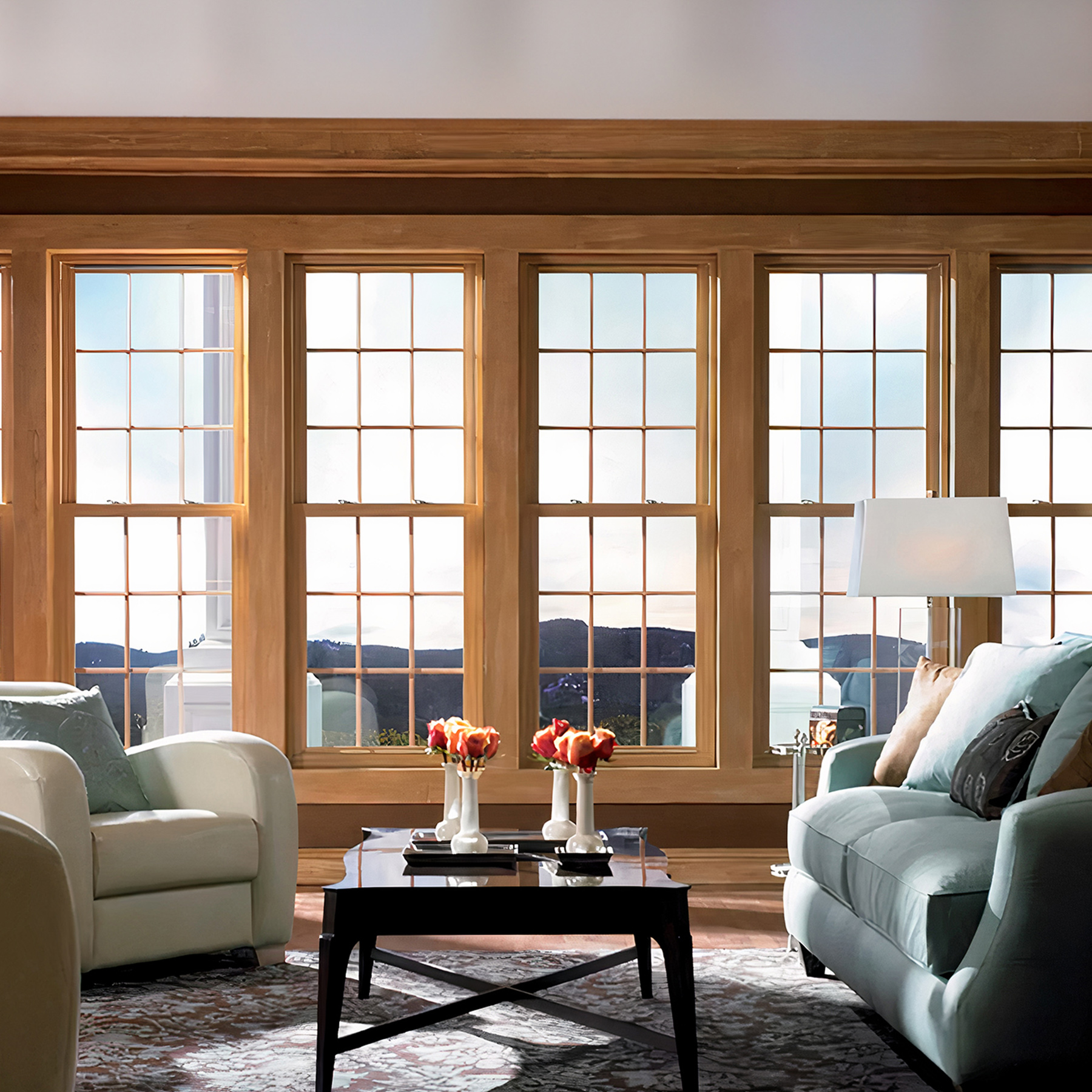 Windows in a living room.